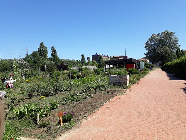   Vitoria Abetxuko linnaosa kogukonna aed juuli 2019