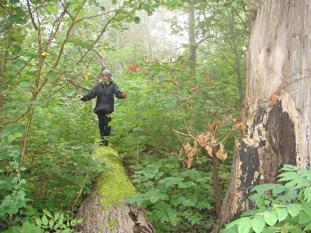   �pi�u Tabasalu Looduspargis 11.09.14