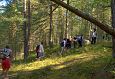 �pi�u Laulasmaa parkmetsas 10.08.14 Eero Siimsoni foto 