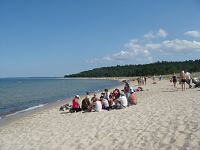  �pi�u Laulasmaa parkmetsas 10.08.14