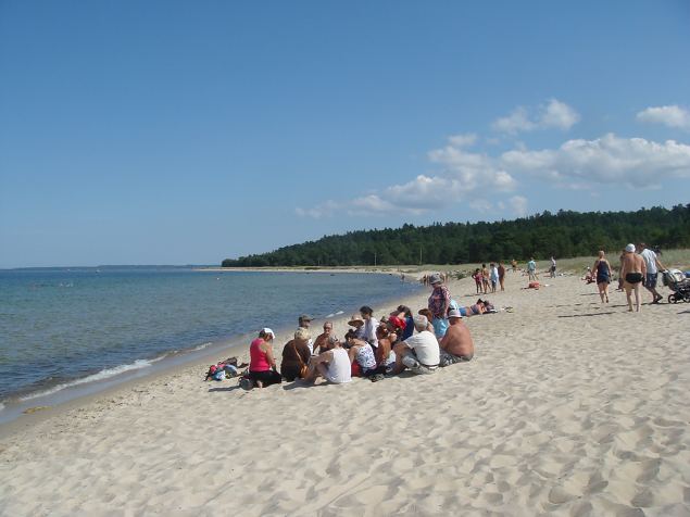   �pi�u Laulasmaa parkmetsas 10.08.14