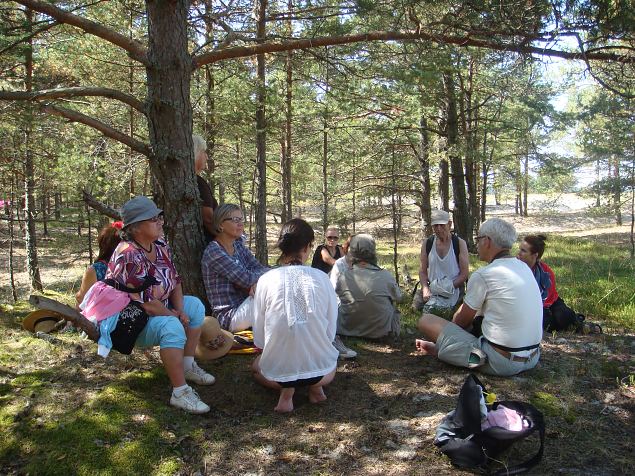   �pi�u Laulasmaa parkmetsas 10.08.14