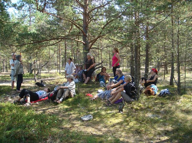   �pi�u Laulasmaa parkmetsas 10.08.14