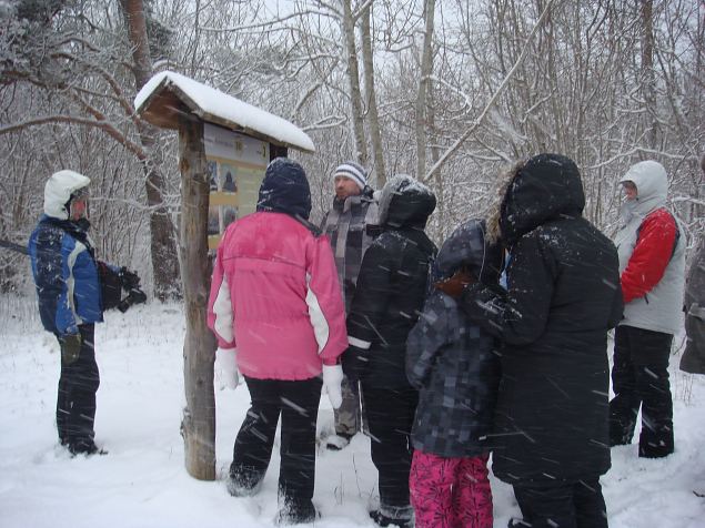   Tabasalu Looduspark kui v�rav metsa 15.12.13