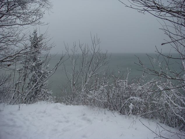   Tabasalu Looduspark kui v�rav metsa 15.12.13