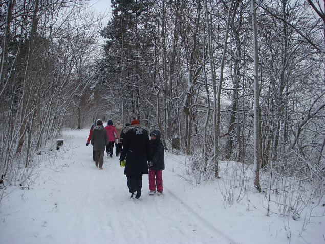   Tabasalu Looduspark kui v�rav metsa 15.12.13