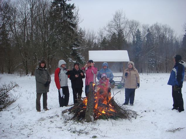   Tabasalu Looduspark kui v�rav metsa 15.12.13