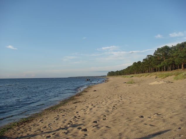   �pi�u Keila-Joa parkmetsas 31.07.14