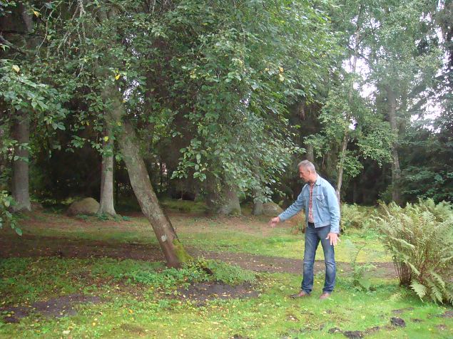   Energeetiline aiaturism Merem�isas 08.08.14