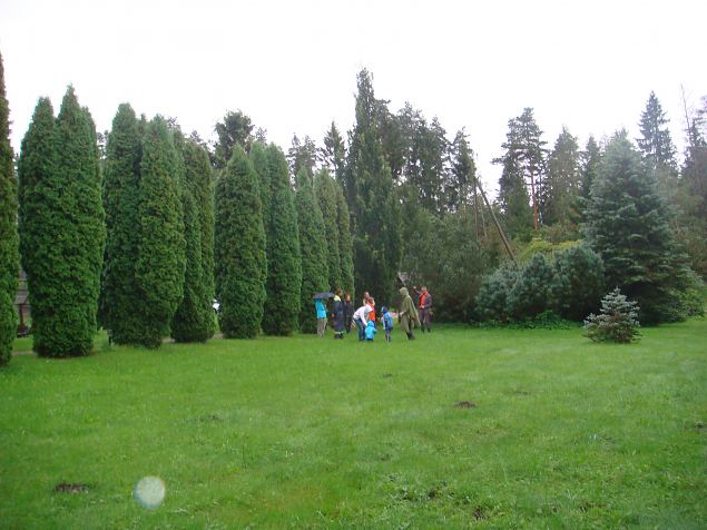   Energeetiline aiaturism Metsanurmes 26.08.14