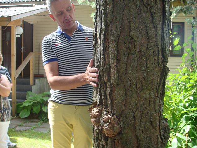   Energeetiline aiaturism Liikva k�las 19.07.14