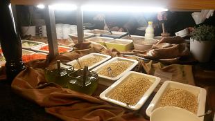 RemedyWay tervise seminar 5.12.14
"Kuidas igal eluhetkel on v�imalik tagada turvaline tervis?"
