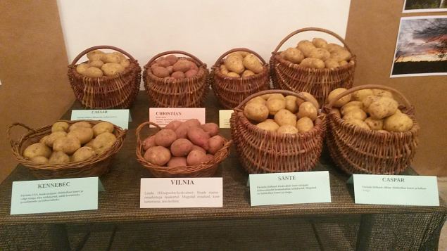 Traditsiooniline aastal�pu kartuliseminar