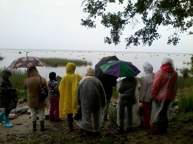   �pi�u Rannam�isa parkmetsas 26.06.14