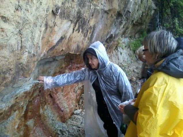   �pi�u Rannam�isa parkmetsas 26.06.14