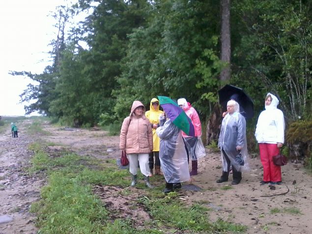   �pi�u Rannam�isa parkmetsas 26.06.14