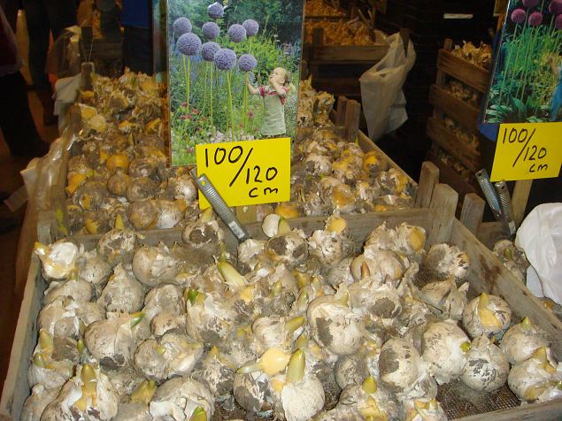   Aiandus- ja sisustusmess Helsingis 2015
Soome suurim, le aastase rtmiga toimuv aiandusmess.