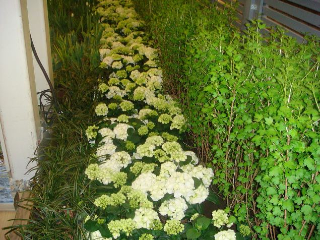   Aiandus- ja sisustusmess Helsingis 2015
Soome suurim, �le aastase r�tmiga toimuv aiandusmess.