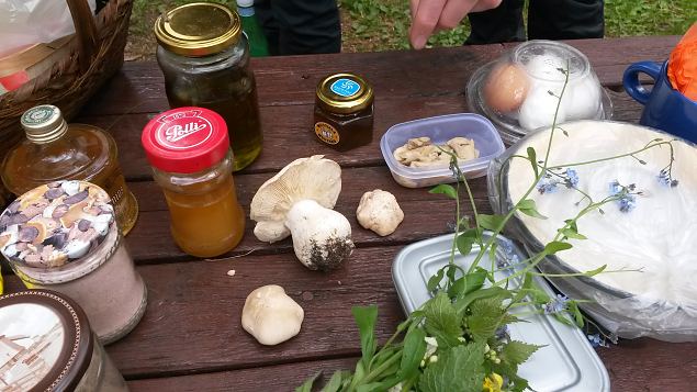   �pi�u Tabasalu Looduspargis. S��davate loodustaimede tundma�ppimine ja toiduks valmistamine 31.0