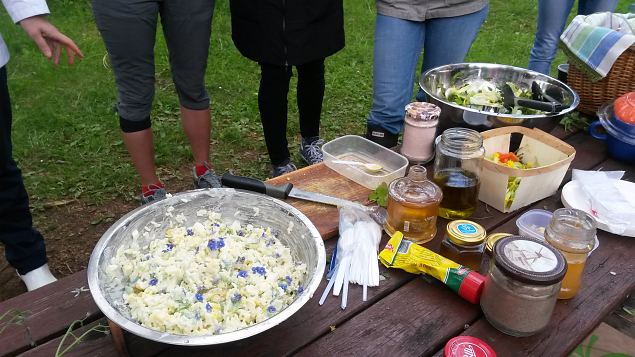   �pi�u Tabasalu Looduspargis. S��davate loodustaimede tundma�ppimine ja toiduks valmistamine 31.0