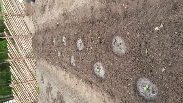   Praktiline �ppep�ev Vaba�humuuseumis 06.06.15