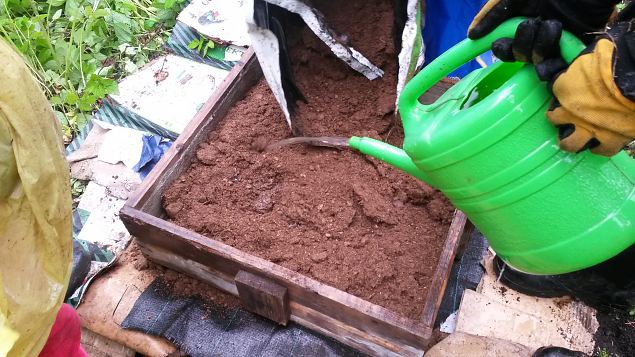   II praktiline �ppep�ev Laulasmaa metsaaias
14.06.15