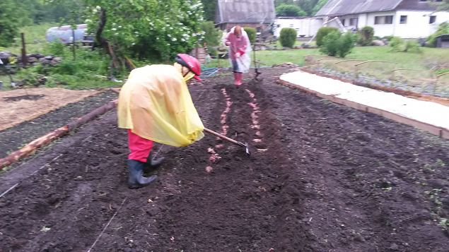   II praktiline �ppep�ev Laulasmaa metsaaias
14.06.15