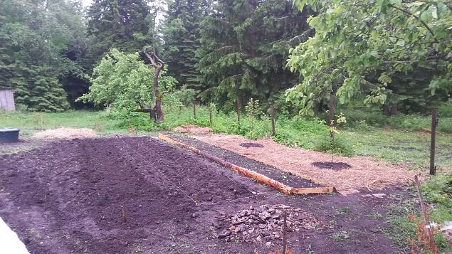   II praktiline �ppep�ev Laulasmaa metsaaias
14.06.15