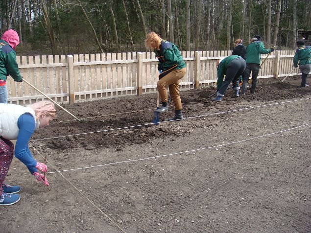   Tallinna Kopli Ametikooli aianduseriala �pilaste praktika Eesti Vaba�humuuseumis 22.-23.04.15