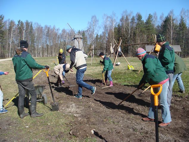  Papipeenra tegemine varesnaadi alale (Vaba�humuuseumis 23.04.15)
