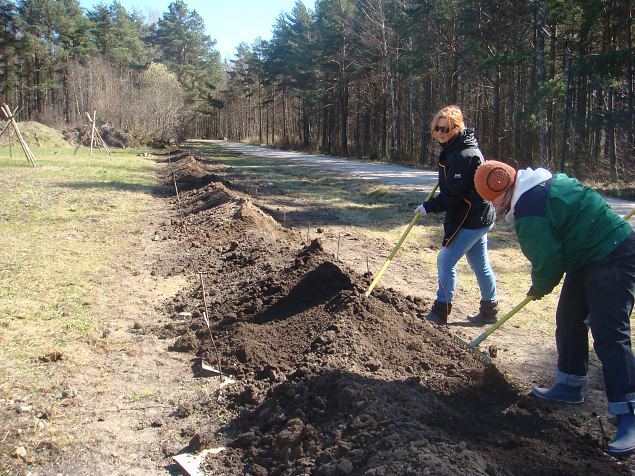   Papipeenra tegemine varesnaadi alale (Vaba�humuuseumis 23.04.15)