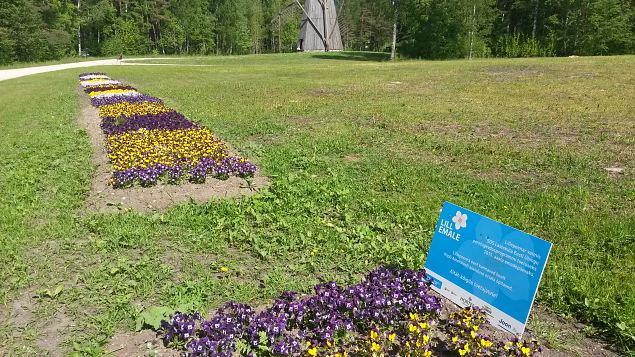   Papipeenra tegemine varesnaadi alale (Vaba�humuuseumis 23.04.15)