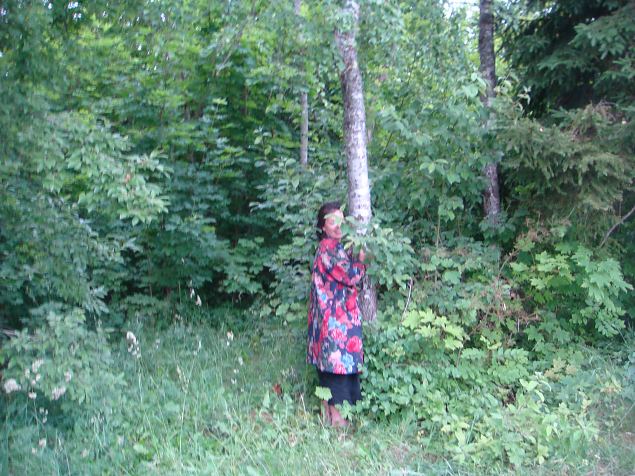   Puude kallistamise �htu 06.07.15