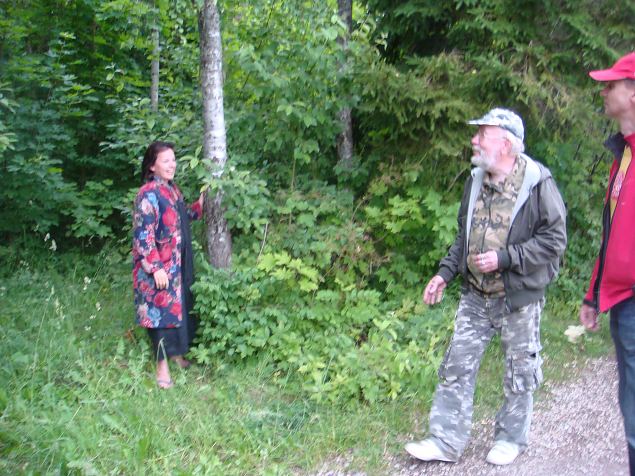   Puude kallistamise �htu 06.07.15