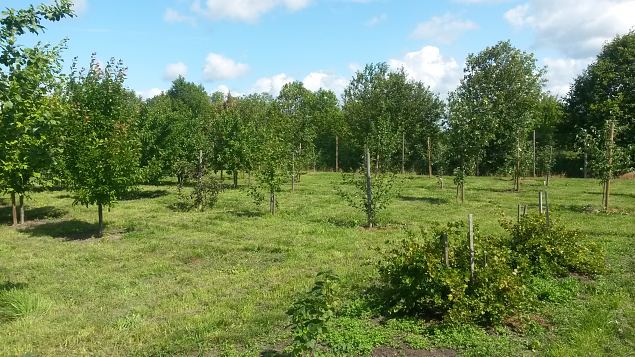   Avatud talude p�ev 19.07.2015 