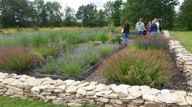   Avatud talud  19.07.2015 L��nemaal