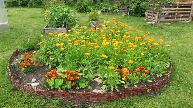   Avatud talud  19.07.2015 L��nemaal