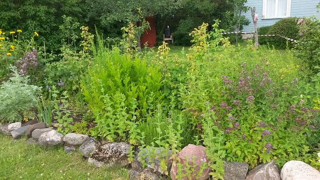   Avatud talud  19.07.2015 L��nemaal