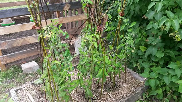   Avatud talud  19.07.2015 L��nemaal