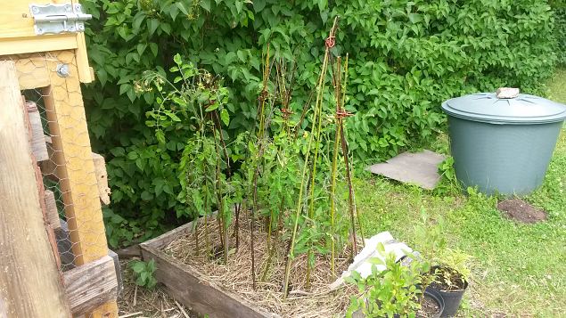   Avatud talud  19.07.2015 Lnemaal