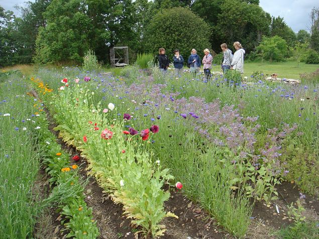   Avatud talud  19.07.2015 L��nemaal