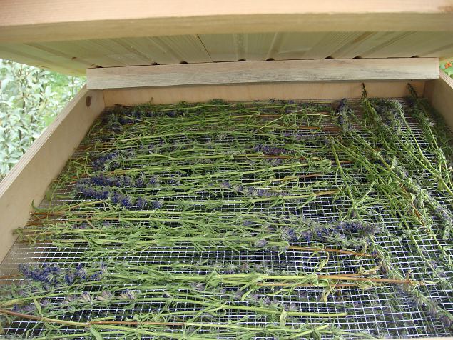   Avatud talud  19.07.2015 L��nemaal