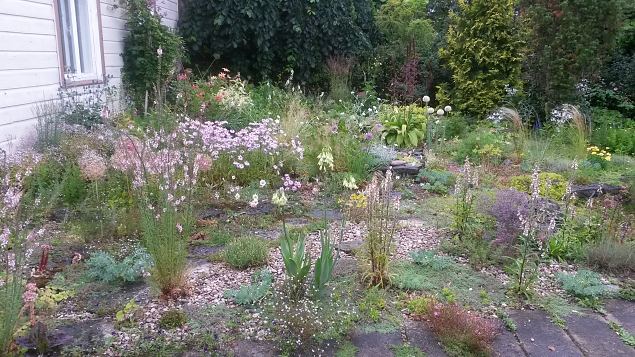   Dendroloogia Seltsi suvep�evad 30.07-01.08.15 Hiiumaal