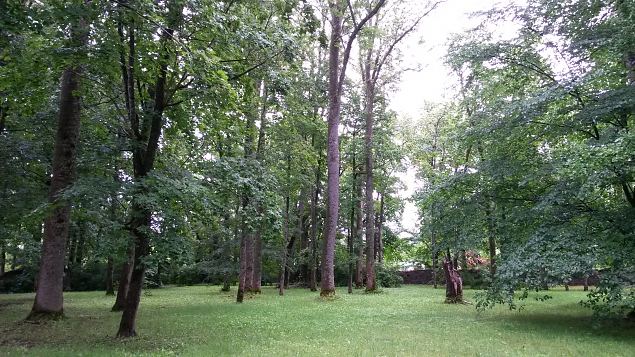   Dendroloogia Seltsi suvep�evad 30.07-01.08.15 Hiiumaal