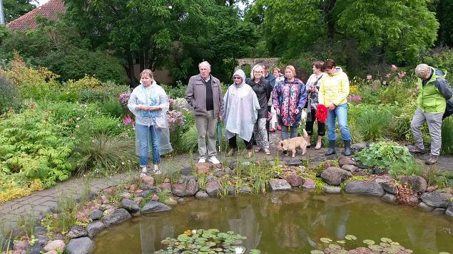   Dendroloogia Seltsi suvep�evad 30.07-01.08.15 Hiiumaal