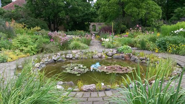   Dendroloogia Seltsi suvep�evad 30.07-01.08.15 Hiiumaal