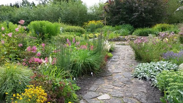   Dendroloogia Seltsi suvep�evad 30.07-01.08.15 Hiiumaal