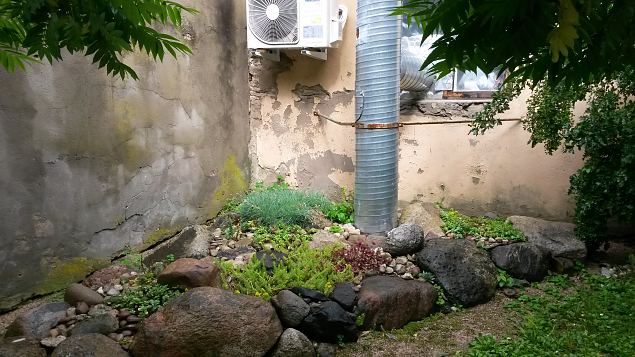   Dendroloogia Seltsi suvep�evad 30.07-01.08.15 Hiiumaal