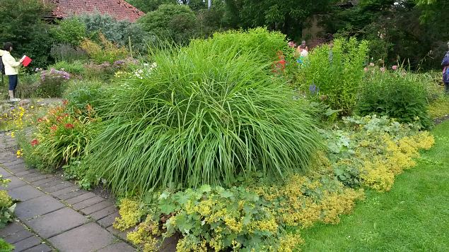   Dendroloogia Seltsi suvep�evad 30.07-01.08.15 Hiiumaal