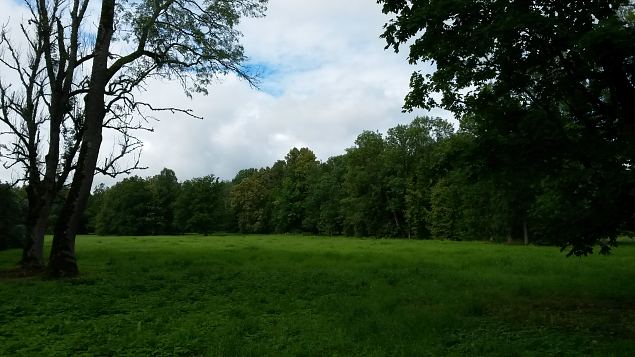   Dendroloogia Seltsi suvep�evad 30.07-01.08.15 Hiiumaal